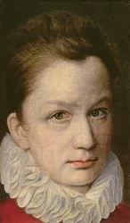 Portrait of a Youth, c.1570-75